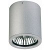 Albert 2130 Plafond opbouw verlichting Zilver, 1-licht