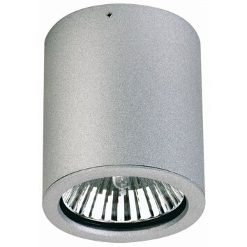 Albert 2130 Plafond opbouw verlichting Zilver, 1-licht