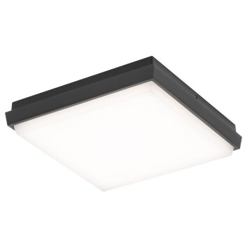 LCD TYP 5061 Buitenshuis plafond verlichting LED Zwart, 1-licht