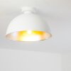 Saro Plafondlamp Wit, 1-licht