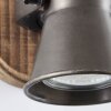 Brilliant Seed Spotlamp Hout donker, Zwart, 1-licht