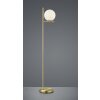 Trio PURE Staande lamp Messing, 1-licht