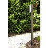 Trio SUEZ Buiten staande lamp LED Zwart, 1-licht