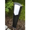 Trio SUEZ Buiten staande lamp LED Zwart, 1-licht