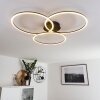 Johsa Plafondlamp LED Zwart, 3-lichts