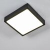 Kragos Plafondlamp LED Zwart, 1-licht