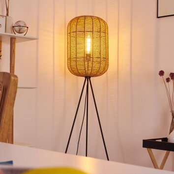 Krens Staande lamp Zwart, 1-licht