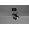 Trio Taurus Plafondlamp LED Zwart, 2-lichts