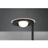 Trio Barrie Staande lamp LED Zwart, 2-lichts