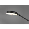 Trio Barrie Staande lamp LED Zwart, 2-lichts