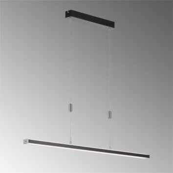 Fischer & Honsel  Vitan TW Hanglamp LED Zwart, 1-licht