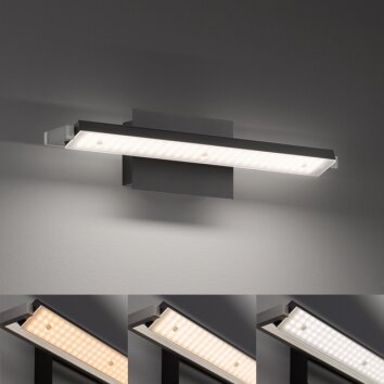 Fischer & Honsel  Pare TW Muurlamp LED Zwart, 1-licht