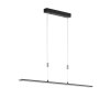 Fischer & Honsel  Metz TW Hanglamp LED Zwart, 1-licht