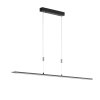 Fischer & Honsel  Metz TW Hanglamp LED Zwart, 1-licht