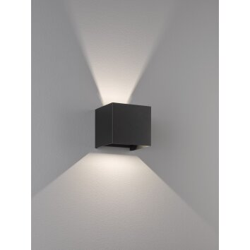 Fischer & Honsel  Wall Muurlamp LED Zwart, 2-lichts