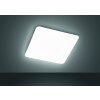 Fischer & Honsel  Aldo Plafondlamp LED Wit, 1-licht