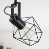 Maracambo Plafondlamp Hout donker, Zwart, 3-lichts