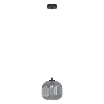 Eglo MANTUNALLE Hanger Zwart, 1-licht