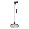 Eglo WINKWORTH Hanger Zwart, 1-licht