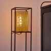 Kabul Staande lamp Goud, Zwart, 1-licht