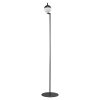 Nordlux CONTINA Staande lamp Zwart, 1-licht