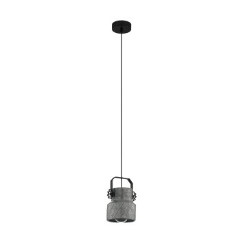 Eglo HILCOTT Hanger Zwart, 1-licht