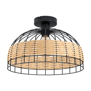 Eglo ANWICK Plafondlamp Zwart, 1-licht