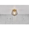 Nordlux ORBIFORM Plafondlamp Messing, 1-licht