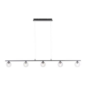 Paul Neuhaus WIDOW Hanglamp LED Zwart, 5-lichts