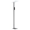 Eglo BUDENSEA Staande lamp LED Zwart, Wit, 2-lichts