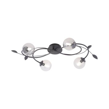 Paul Neuhaus WIDOW Plafondlamp LED Zwart, 4-lichts