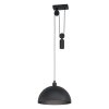 Eglo WINKWORTH Hanger Zwart, 1-licht