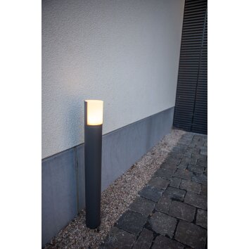 Lutec Cyra Padverlichting LED Antraciet, 1-licht