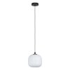 Eglo MANTUNALLE Hanger Zwart, 1-licht