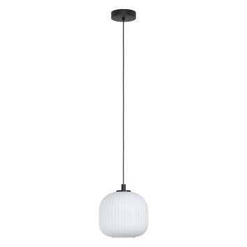 Eglo MANTUNALLE Hanger Zwart, 1-licht