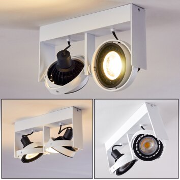 Grytgol Plafondlamp Wit, 2-lichts