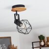 Maracambo Plafondlamp Hout donker, Zwart, 1-licht