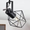 Maracambo Plafondlamp Hout donker, Zwart, 1-licht