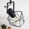 Maracambo Plafondlamp Hout donker, Zwart, 2-lichts