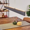 Aduard Hanglamp LED Antraciet, 2-lichts