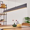 Aduard Hanglamp LED Antraciet, 2-lichts