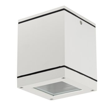 KS Verlichting Sigma Buitenshuis plafond verlichting Wit, 1-licht