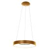 Steinhauer Ringlede Hanglamp Goud, Wit, 1-licht