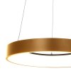 Steinhauer Ringlede Hanglamp Goud, Wit, 1-licht