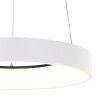 Steinhauer Ringlede Hanglamp Wit, 1-licht