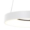 Steinhauer Ringlede Hanglamp Wit, 1-licht