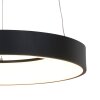 Steinhauer Ringlede Hanglamp Zwart, Wit, 1-licht