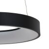 Steinhauer Ringlede Hanglamp Zwart, Wit, 1-licht