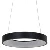 Steinhauer Ringlede Hanglamp Zwart, Wit, 1-licht