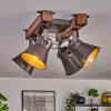 Aduard Plafondlamp Hout donker, Zwart, 4-lichts